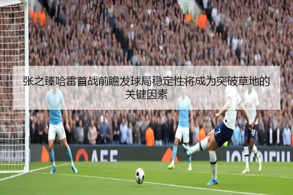 张之臻哈雷首战前瞻发球局稳定性将成为突破草地的关键因素